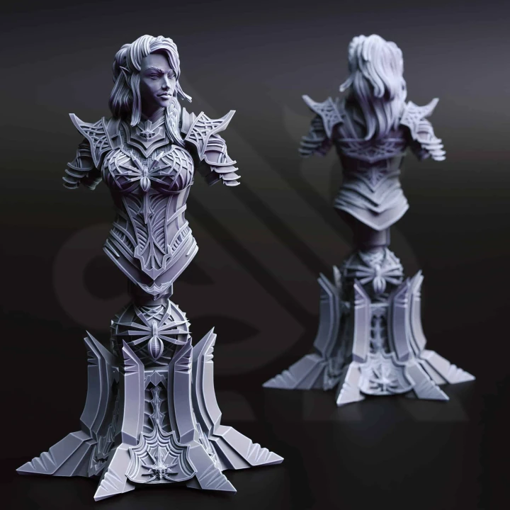 Vakara N’thara - Drow Assassin (Bust)