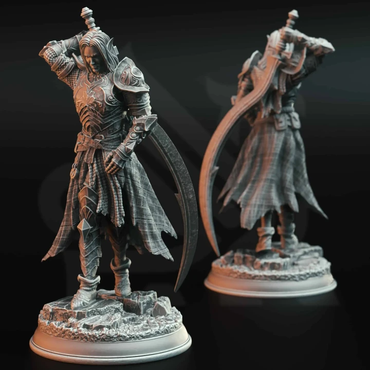Relethyr Valin - Paladin of the Beacon