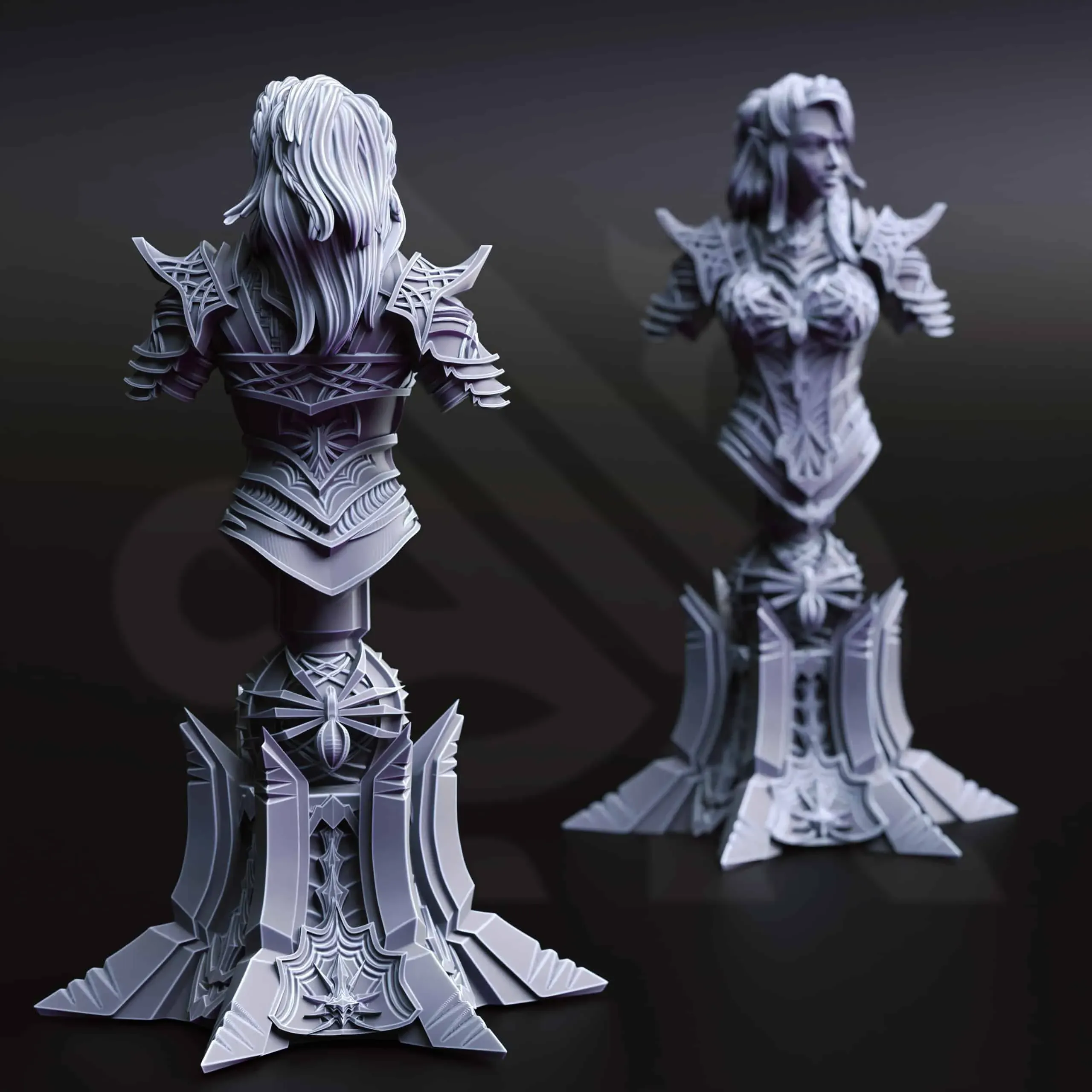 Vakara N’thara - Drow Assassin - BUST Back
