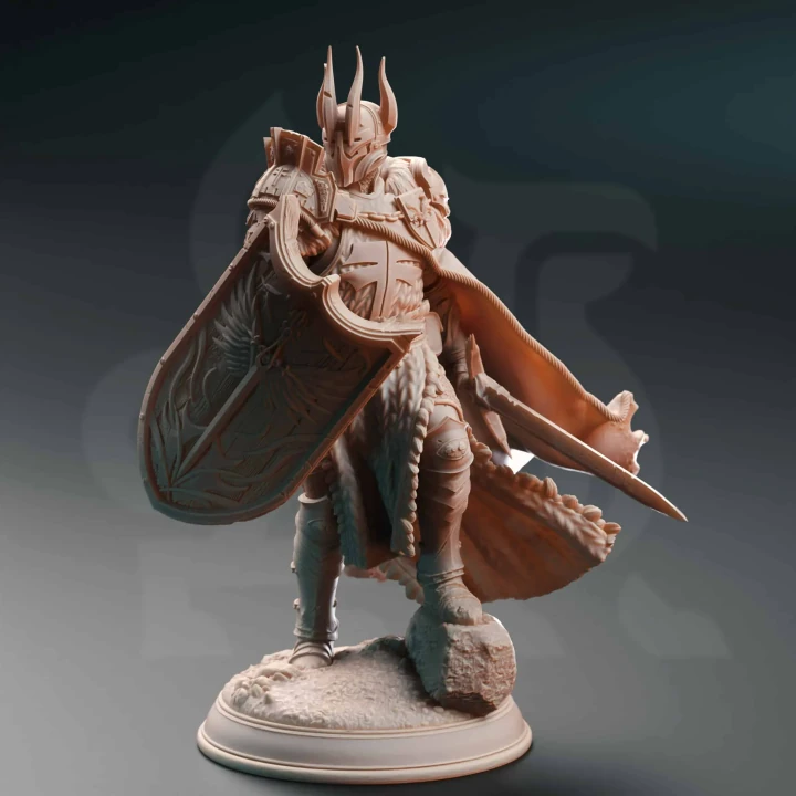 Caedes - Erdydion’s Chosen Paladin